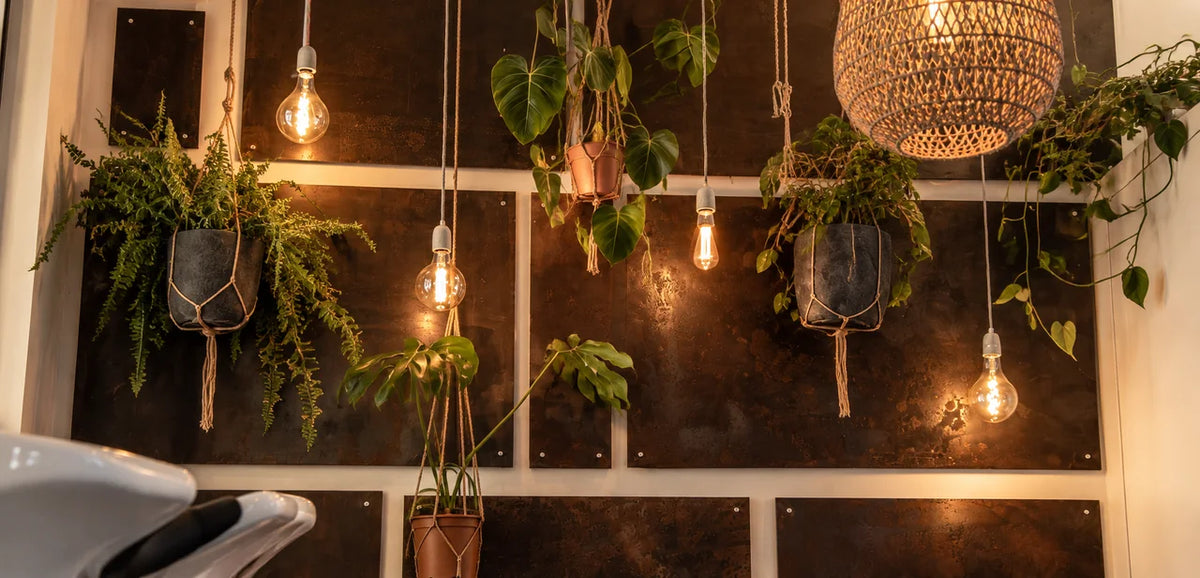 Hanging plants and lights in Héritage’s Bulle Végétale, with the cropped edge of a white shampoo basin in the foreground.
